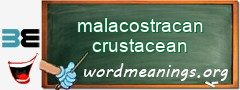 WordMeaning blackboard for malacostracan crustacean